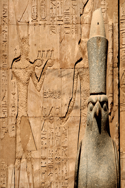 Ahmed Sabry - CEO & Founder